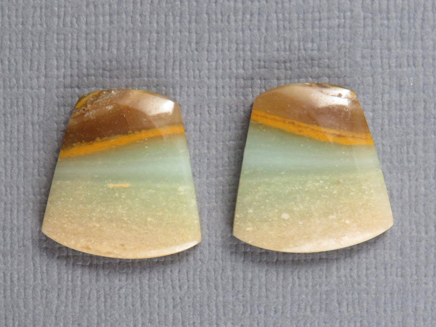 Opalized Wood Pair | Petrified Wood Opal | 15.5x14.5mm, 10.5ct | Indonesia | WO260 - - GemEnthusiast