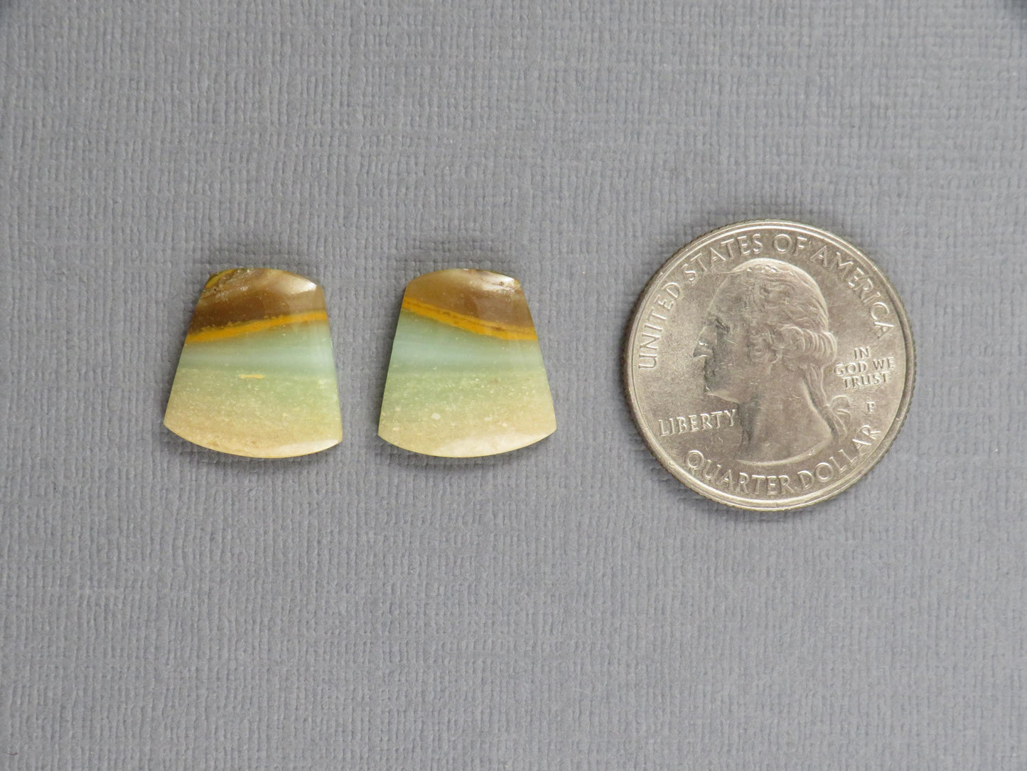 Opalized Wood Pair | Petrified Wood Opal | 15.5x14.5mm, 10.5ct | Indonesia | WO260 - - GemEnthusiast