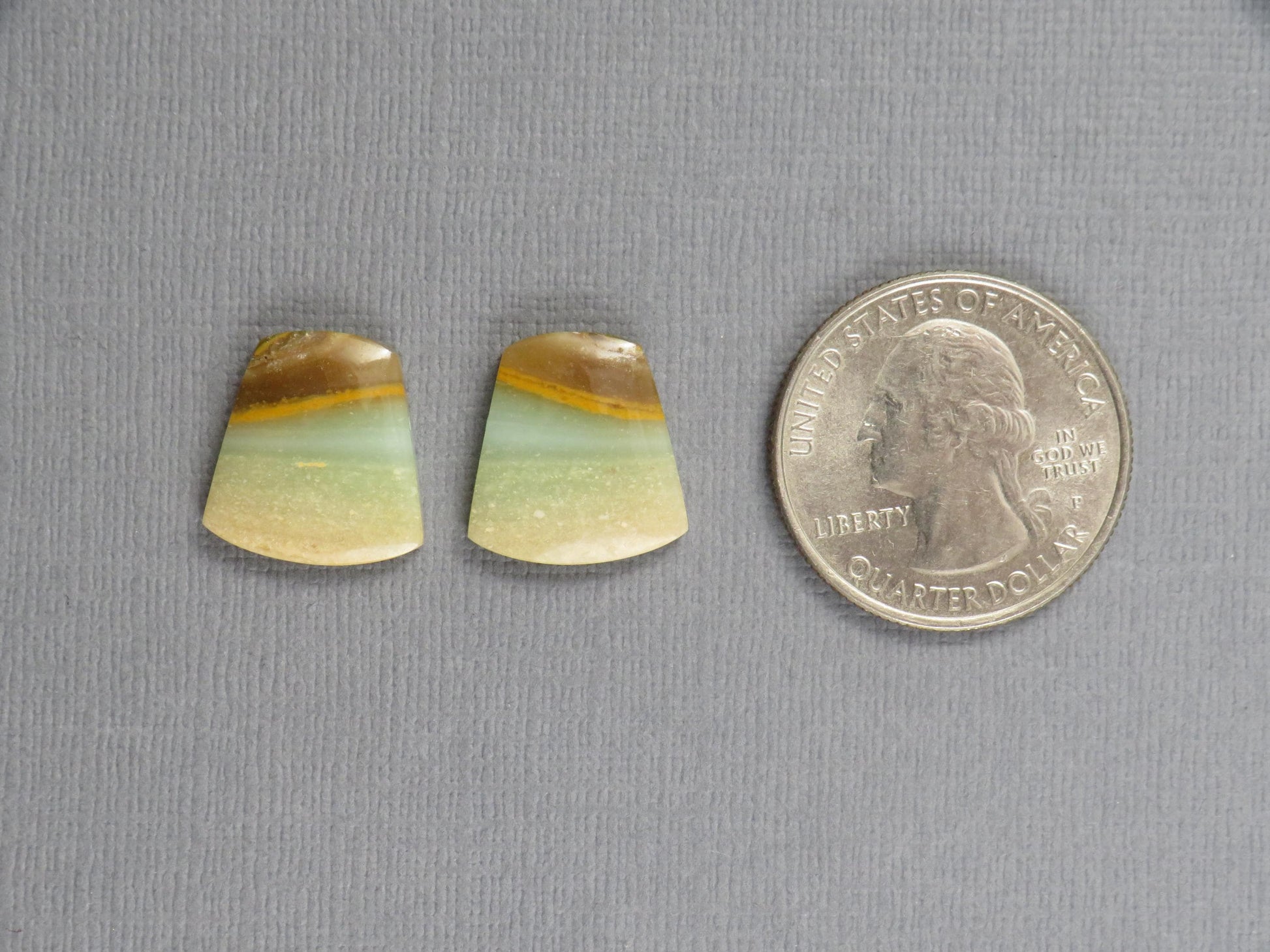 Opalized Wood Pair | Petrified Wood Opal | 15.5x14.5mm, 10.5ct | Indonesia | WO260 - - GemEnthusiast