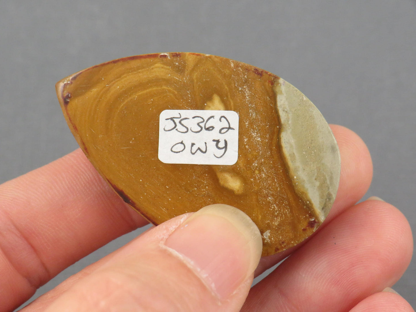 Owyhee Picture Jasper Cabochon Pear | 48x30mm, 72.2ct | Owyhee Mountains, Oregon USA | JS362 - - GemEnthusiast