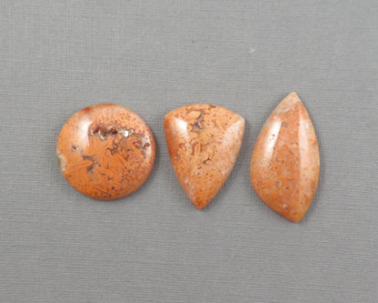 Crazy Lace Agate Cabochon Lot | 29–38mm, avg 35ct | 3-Stone Lot | Indonesia | AG401 - - GemEnthusiast