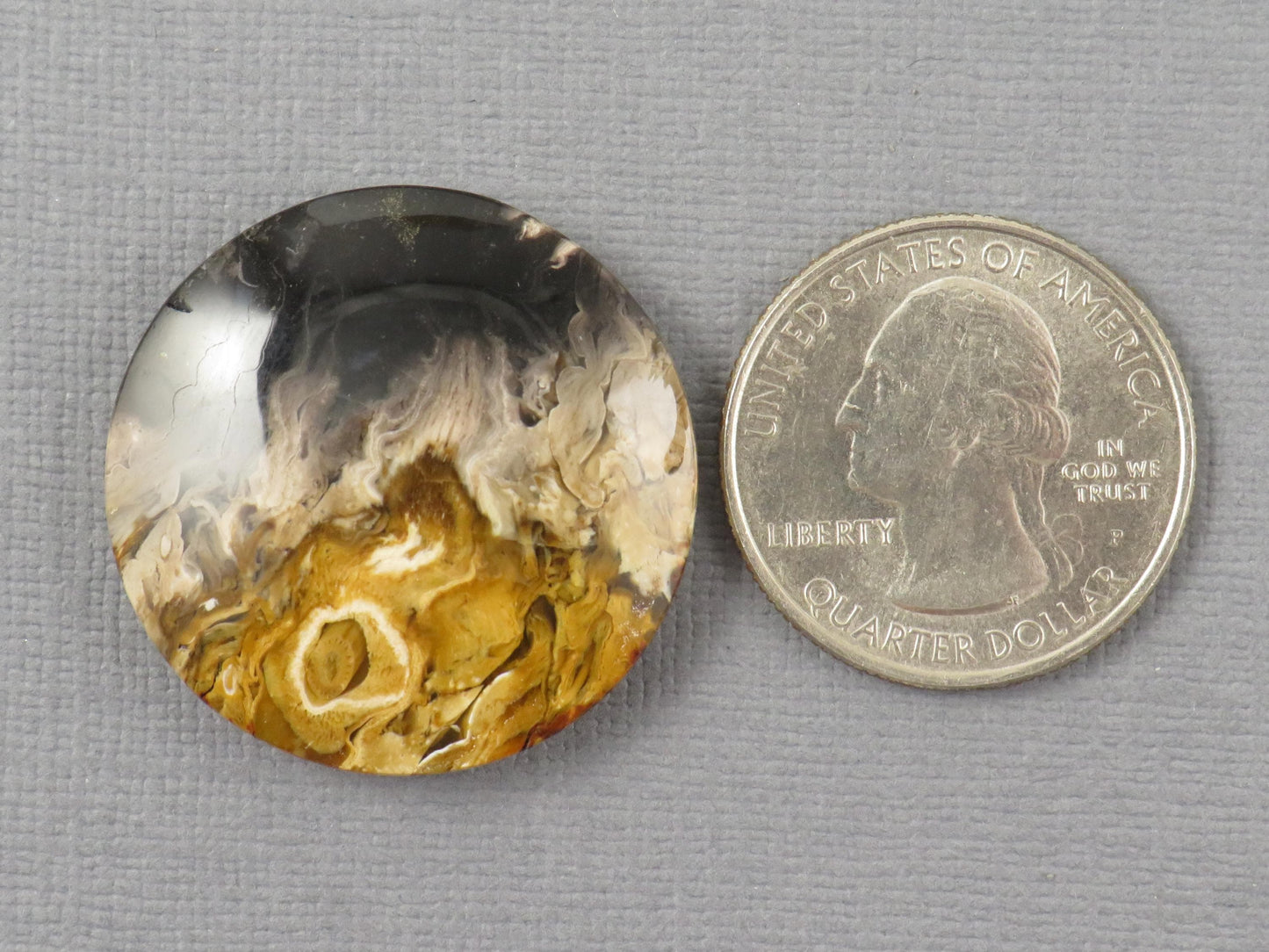 Fossilized Palm Root Round Cabochon | Flame Palm Root | 30x30mm, 48.4ct | Indonesia | PRF100 - - GemEnthusiast