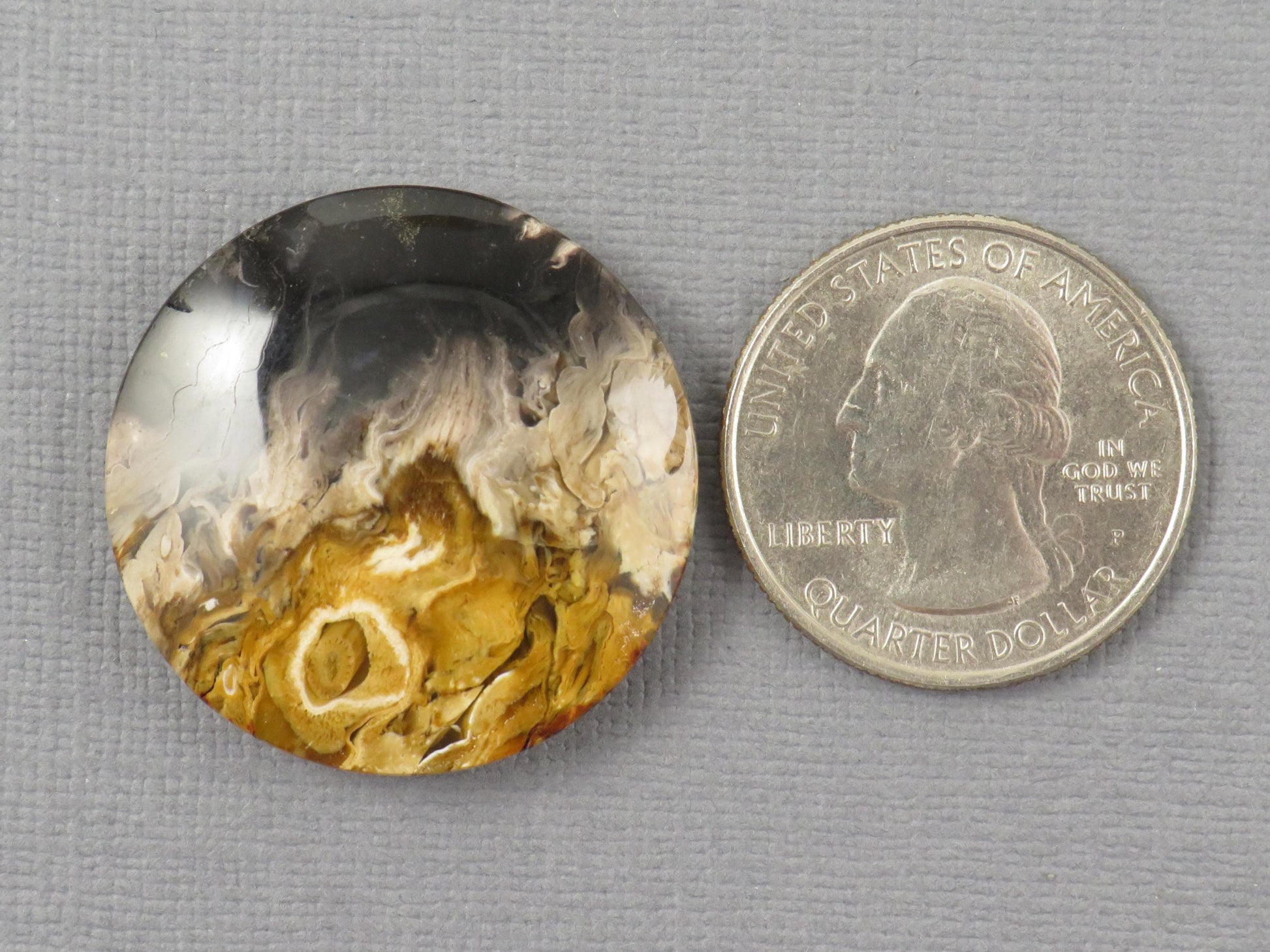Fossilized Palm Root Round Cabochon | Flame Palm Root | 30x30mm, 48.4ct | Indonesia | PRF100 - - GemEnthusiast