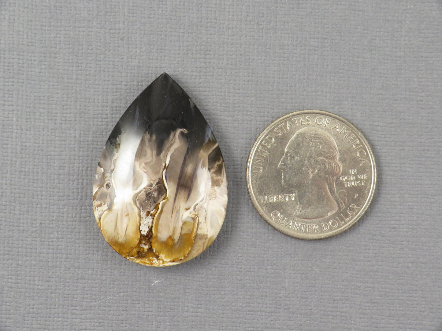 Fossilized Palm Root Pear Cabochon | Flame Pattern | 36x25mm, 41ct | Indonesia | PRF102 - - GemEnthusiast