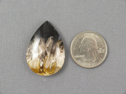 Fossilized Palm Root Pear Cabochon | Flame Pattern | 36x25mm, 41ct | Indonesia | PRF102 - - GemEnthusiast