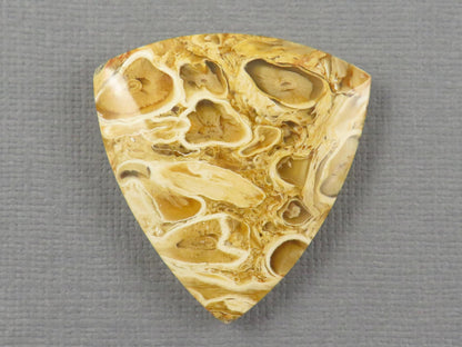 Golden Yellow Fossil Palm Root Trillion Cabochon | Pendant Stone | 32x32mm, 45ct | Indonesia | PRA124 - - GemEnthusiast