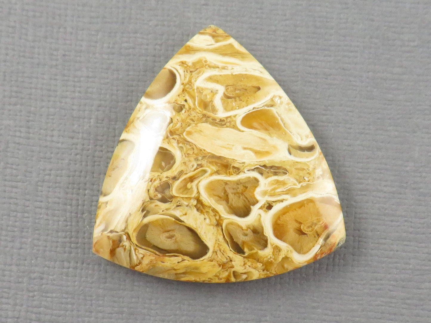 Golden Yellow Fossil Palm Root Trillion Cabochon | Pendant Stone | 32x32mm, 45ct | Indonesia | PRA124 - - GemEnthusiast