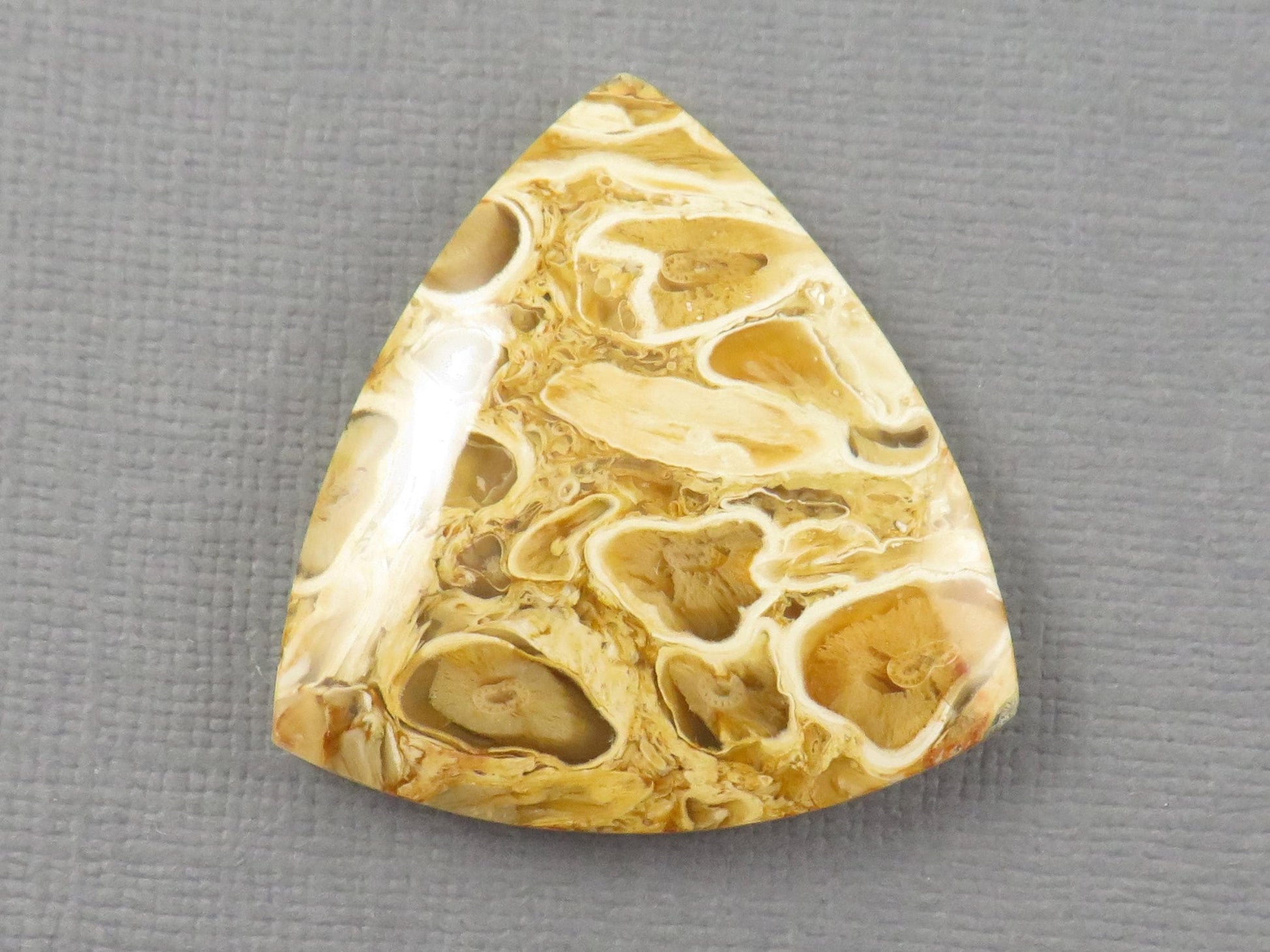 Golden Yellow Fossil Palm Root Trillion Cabochon | Pendant Stone | 32x32mm, 45ct | Indonesia | PRA124 - - GemEnthusiast
