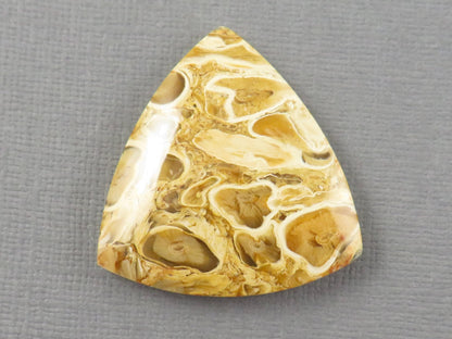 Golden Yellow Fossil Palm Root Trillion Cabochon | Pendant Stone | 32x32mm, 45ct | Indonesia | PRA124 - - GemEnthusiast