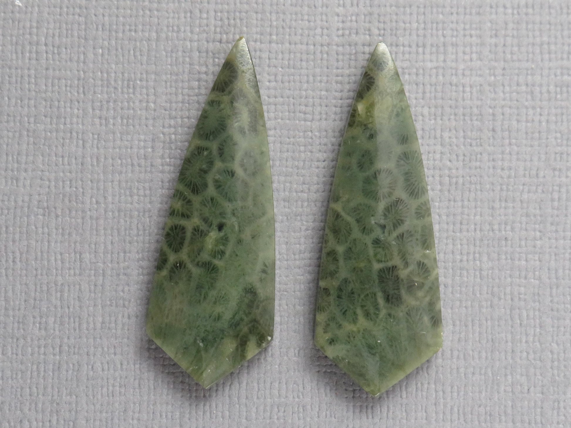 Green Fossil Coral Shield Pair | Pendant Stone | 36x13mm, 26ct | FC118 - - GemEnthusiast