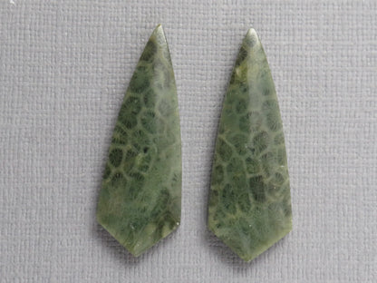 Green Fossil Coral Shield Pair | Pendant Stone | 36x13mm, 26ct | FC118 - - GemEnthusiast
