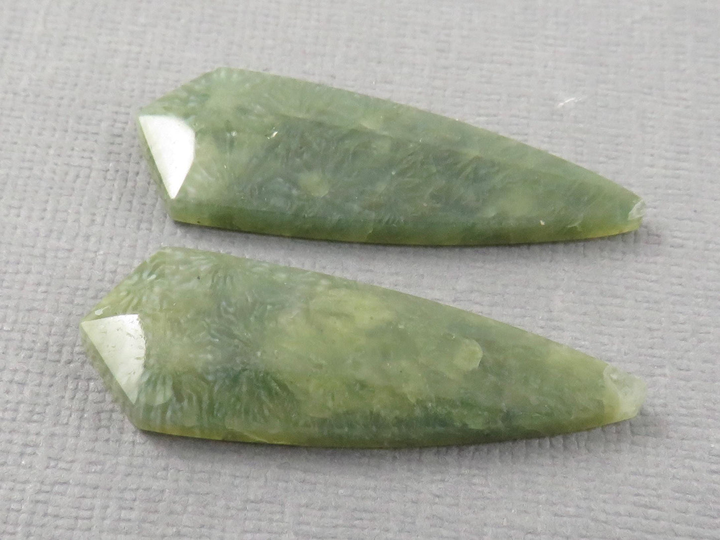 Green Fossil Coral Shield | Pendant Stone | 36x12mm, 22ct | Per Pair | FC119 - - GemEnthusiast