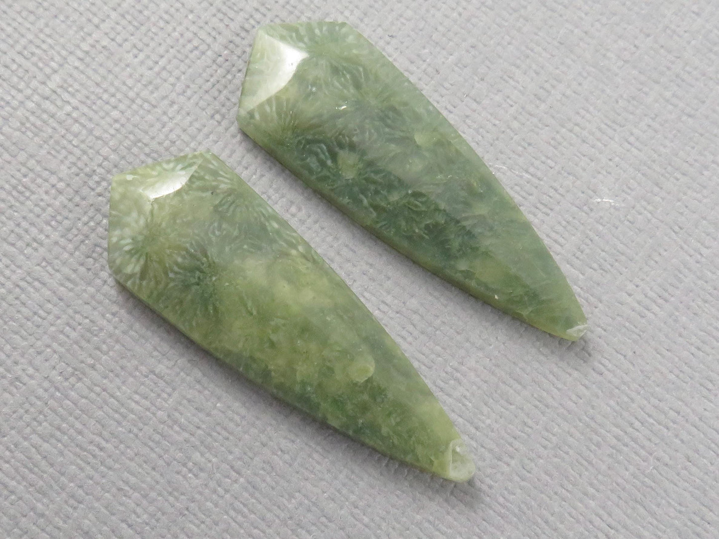Green Fossil Coral Shield | Pendant Stone | 36x12mm, 22ct | Per Pair | FC119 - - GemEnthusiast