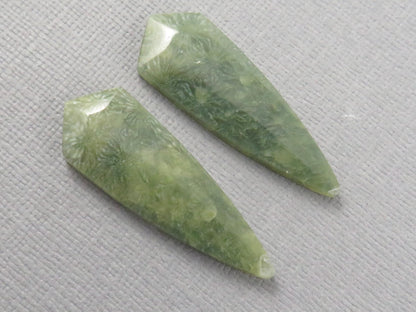 Green Fossil Coral Shield | Pendant Stone | 36x12mm, 22ct | Per Pair | FC119 - - GemEnthusiast