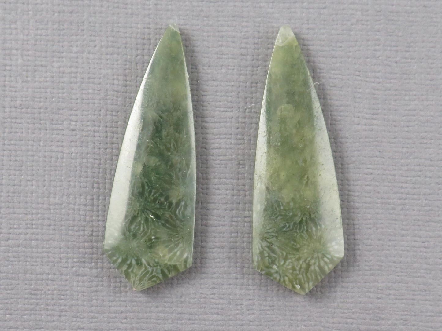 Green Fossil Coral Shield | Pendant Stone | 36x12mm, 22ct | Per Pair | FC119 - - GemEnthusiast