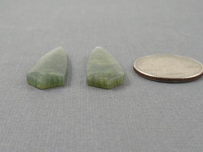 Green Fossil Coral Shield | Pendant Stone | 36x12mm, 22ct | Per Pair | FC119 - - GemEnthusiast