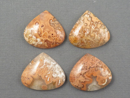 Crazy Lace Agate Cabochon Teardrop| Sold Per Stone | 26mm, avg 33ct | Indonesia | AG399 - - GemEnthusiast