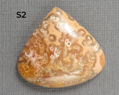 Crazy Lace Agate Cabochon Teardrop| Sold Per Stone | 26mm, avg 33ct | Indonesia | AG399 - - GemEnthusiast