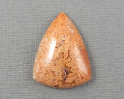Crazy Lace Agate Cabochon Lot | 29–38mm, avg 35ct | 3-Stone Lot | Indonesia | AG401 - - GemEnthusiast