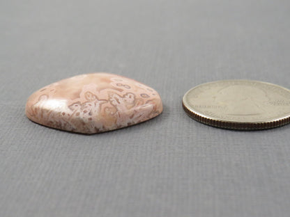 Peach Crazy Lace Agate Teardrop | Cabochon for Setting | 28x28mm, 30ct | Indonesia | AG407 - - GemEnthusiast