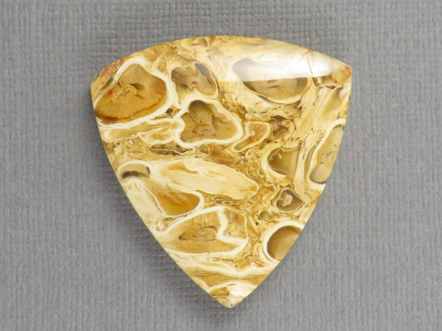 Golden Yellow Fossil Palm Root Trillion Cabochon | Pendant Stone | 32x32mm, 45ct | Indonesia | PRA124 - - GemEnthusiast