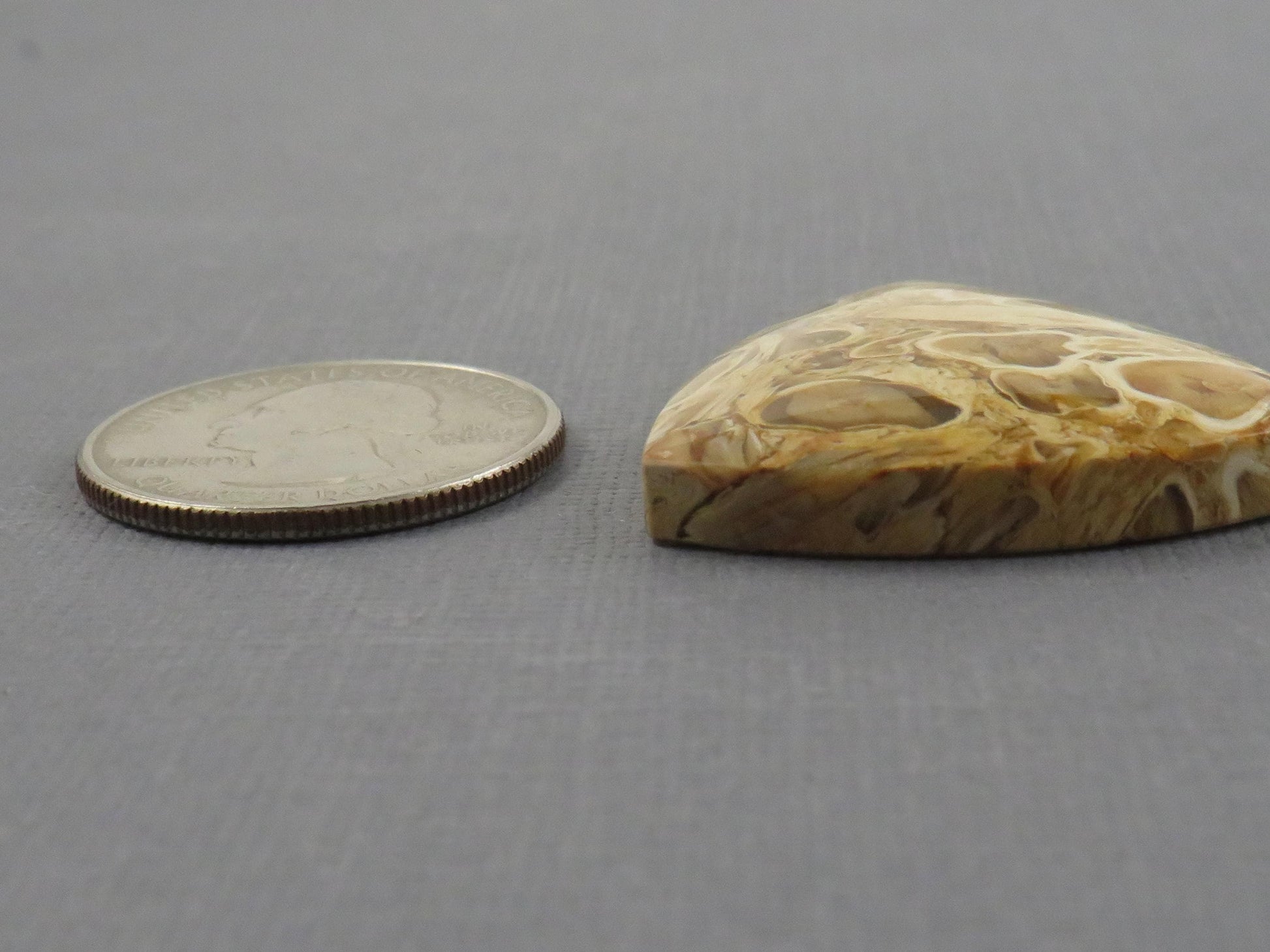 Golden Yellow Fossil Palm Root Trillion Cabochon | Pendant Stone | 32x32mm, 45ct | Indonesia | PRA124 - - GemEnthusiast