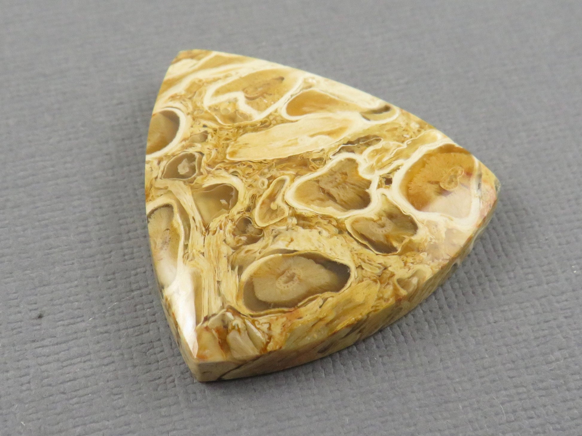 Golden Yellow Fossil Palm Root Trillion Cabochon | Pendant Stone | 32x32mm, 45ct | Indonesia | PRA124 - - GemEnthusiast