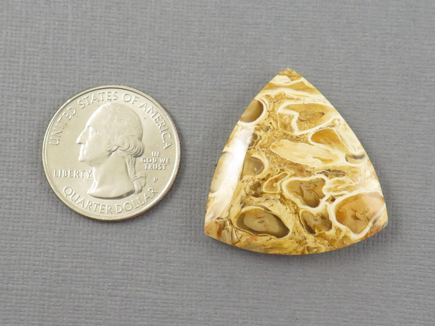 Golden Yellow Fossil Palm Root Trillion Cabochon | Pendant Stone | 32x32mm, 45ct | Indonesia | PRA124 - - GemEnthusiast