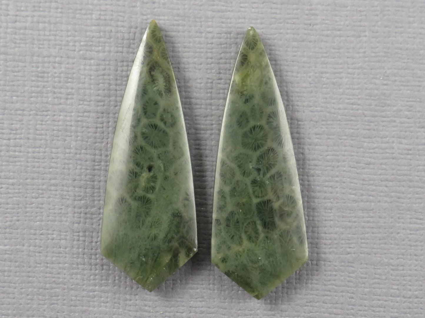 Green Fossil Coral Shield Pair | Pendant Stone | 36x13mm, 26ct | FC118 - - GemEnthusiast