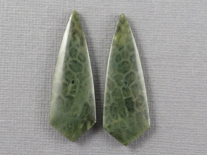 Green Fossil Coral Shield Pair | Pendant Stone | 36x13mm, 26ct | FC118 - - GemEnthusiast