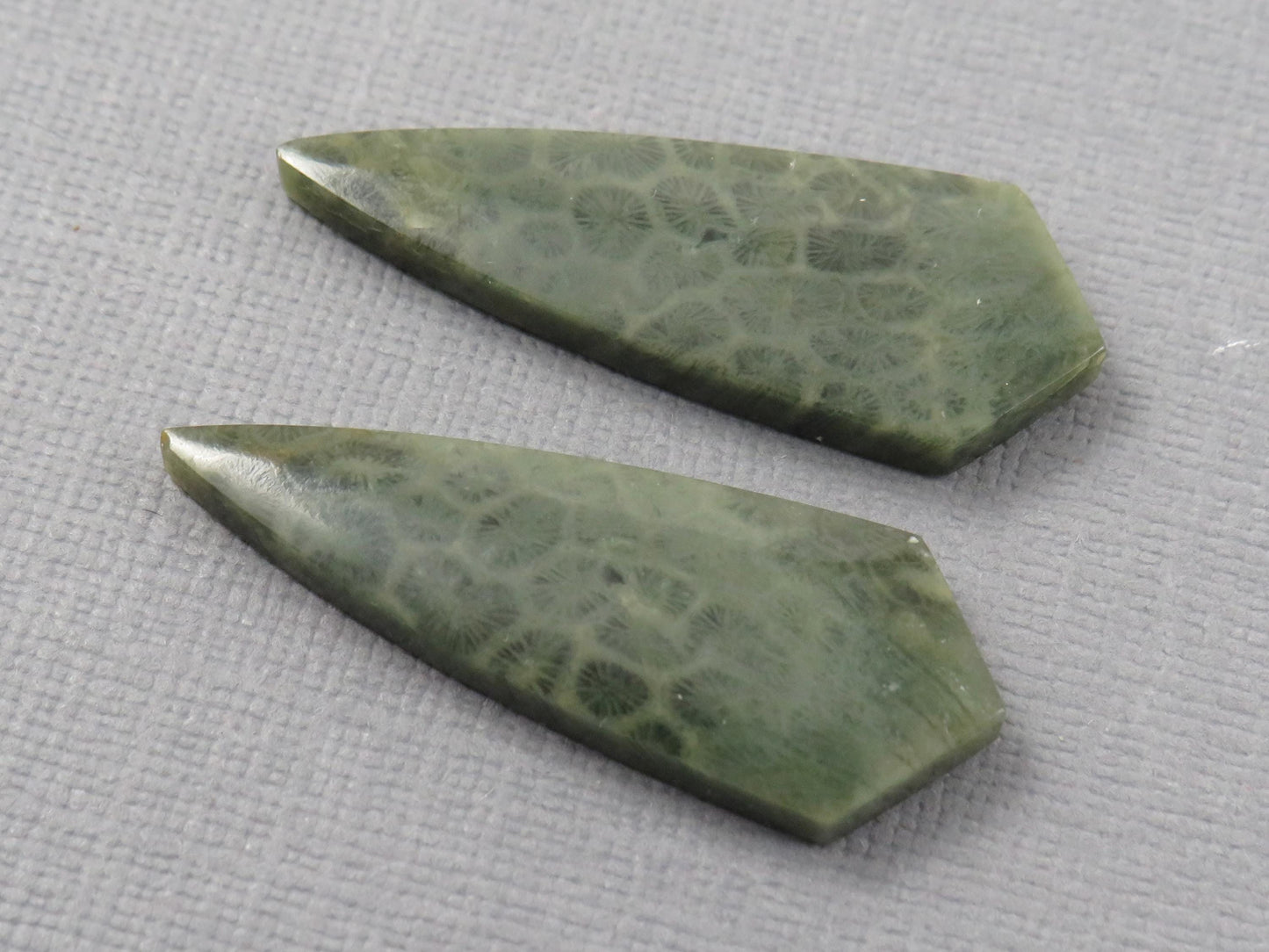 Green Fossil Coral Shield Pair | Pendant Stone | 36x13mm, 26ct | FC118 - - GemEnthusiast