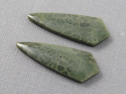 Green Fossil Coral Shield Pair | Pendant Stone | 36x13mm, 26ct | FC118 - - GemEnthusiast