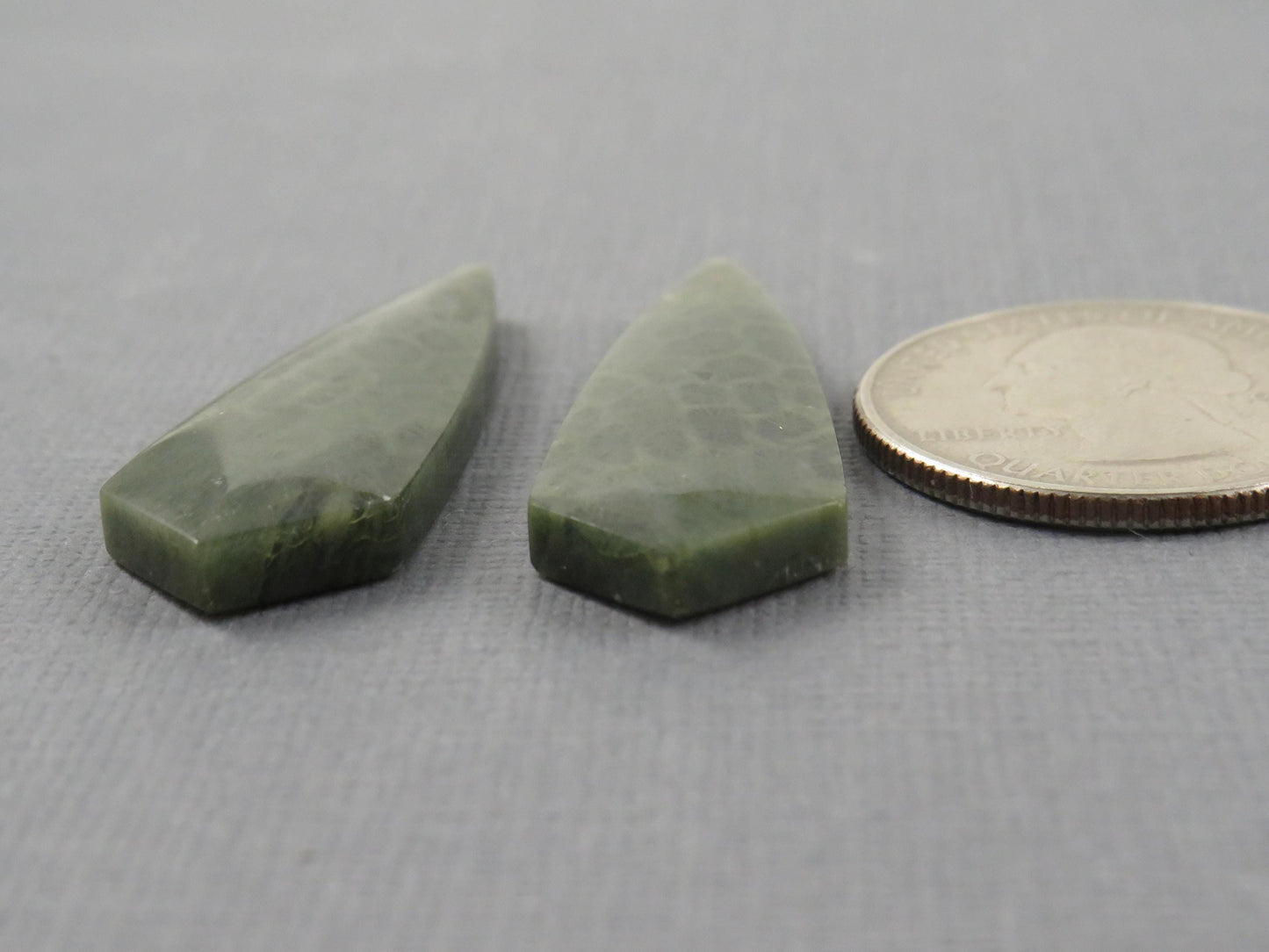 Green Fossil Coral Shield Pair | Pendant Stone | 36x13mm, 26ct | FC118 - - GemEnthusiast