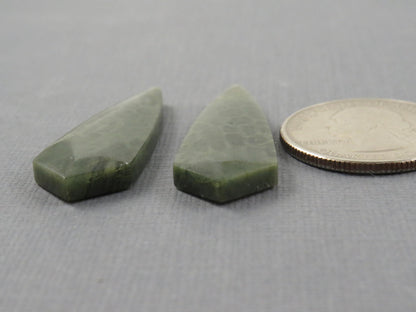 Green Fossil Coral Shield Pair | Pendant Stone | 36x13mm, 26ct | FC118 - - GemEnthusiast