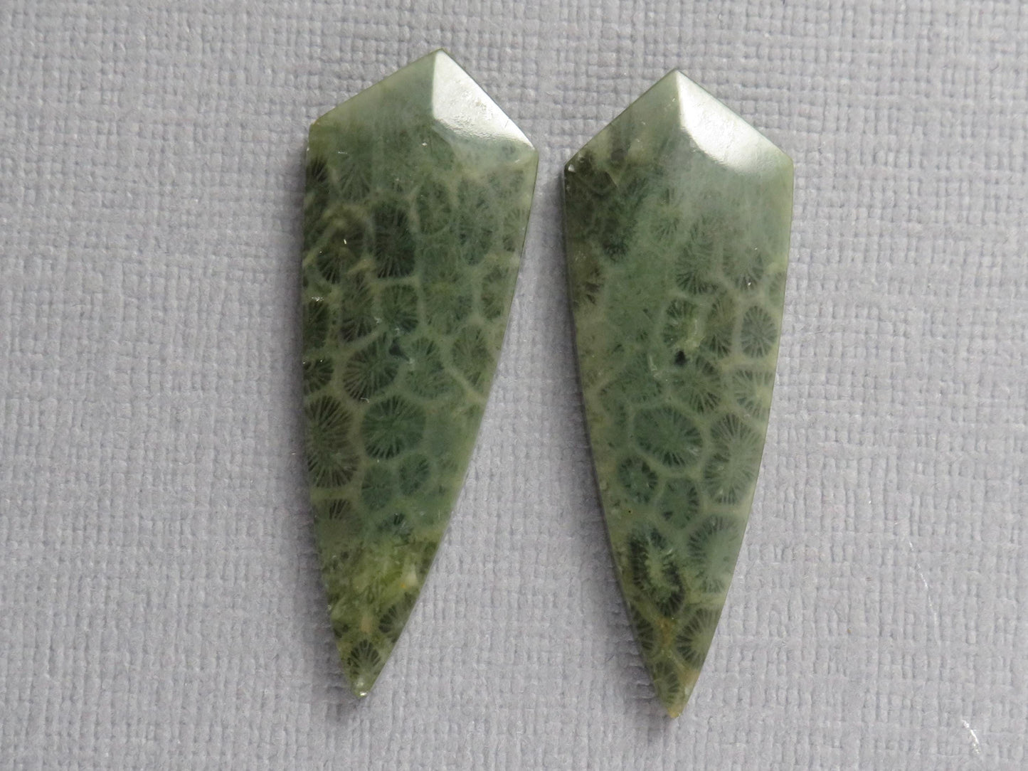 Green Fossil Coral Shield Pair | Pendant Stone | 36x13mm, 26ct | FC118 - - GemEnthusiast
