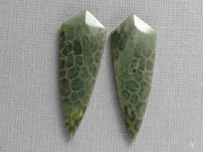 Green Fossil Coral Shield Pair | Pendant Stone | 36x13mm, 26ct | FC118 - - GemEnthusiast