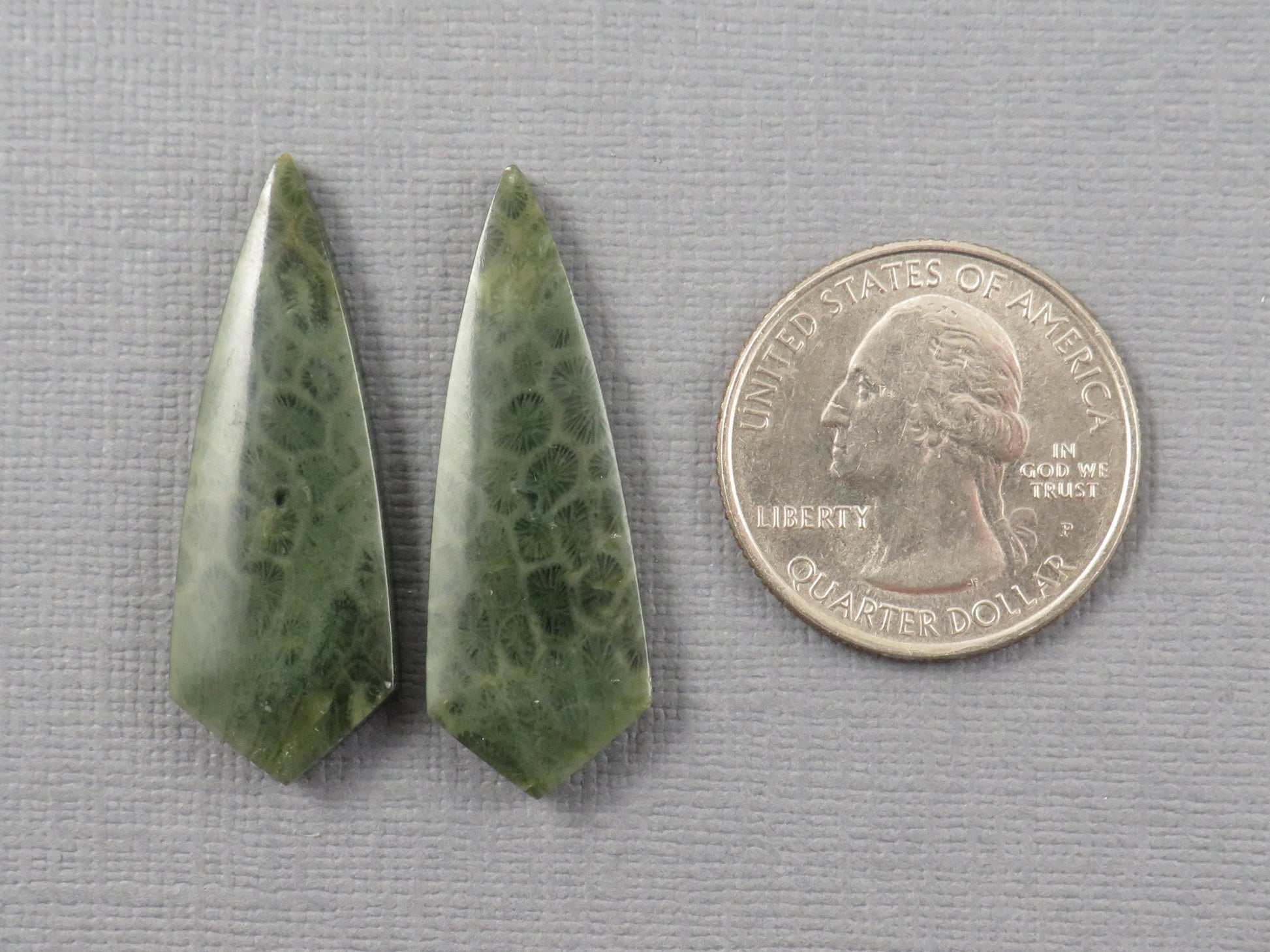 Green Fossil Coral Shield Pair | Pendant Stone | 36x13mm, 26ct | FC118 - - GemEnthusiast