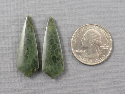 Green Fossil Coral Shield Pair | Pendant Stone | 36x13mm, 26ct | FC118 - - GemEnthusiast