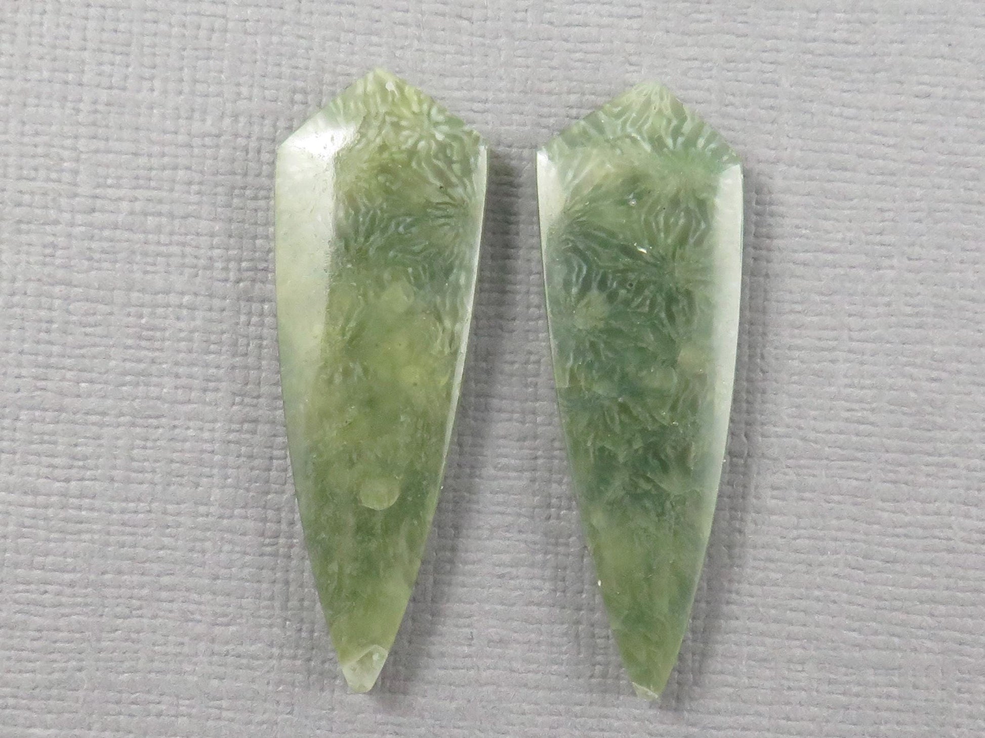 Green Fossil Coral Shield | Pendant Stone | 36x12mm, 22ct | Per Pair | FC119 - - GemEnthusiast