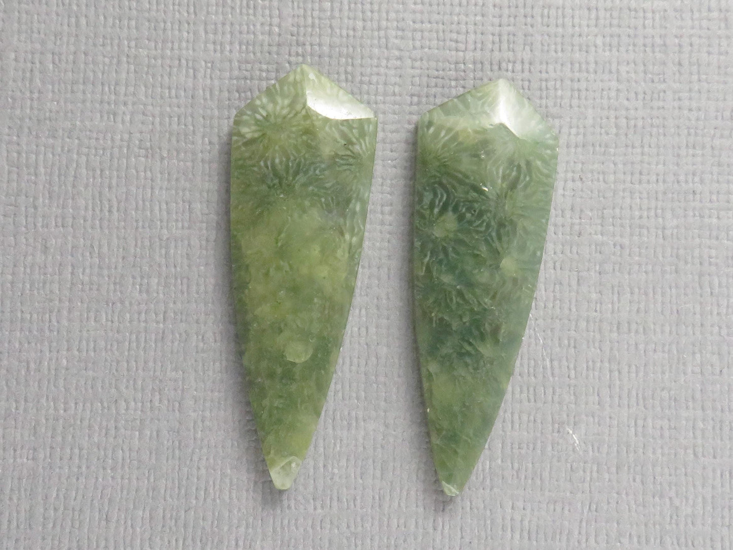 Green Fossil Coral Shield | Pendant Stone | 36x12mm, 22ct | Per Pair | FC119 - - GemEnthusiast