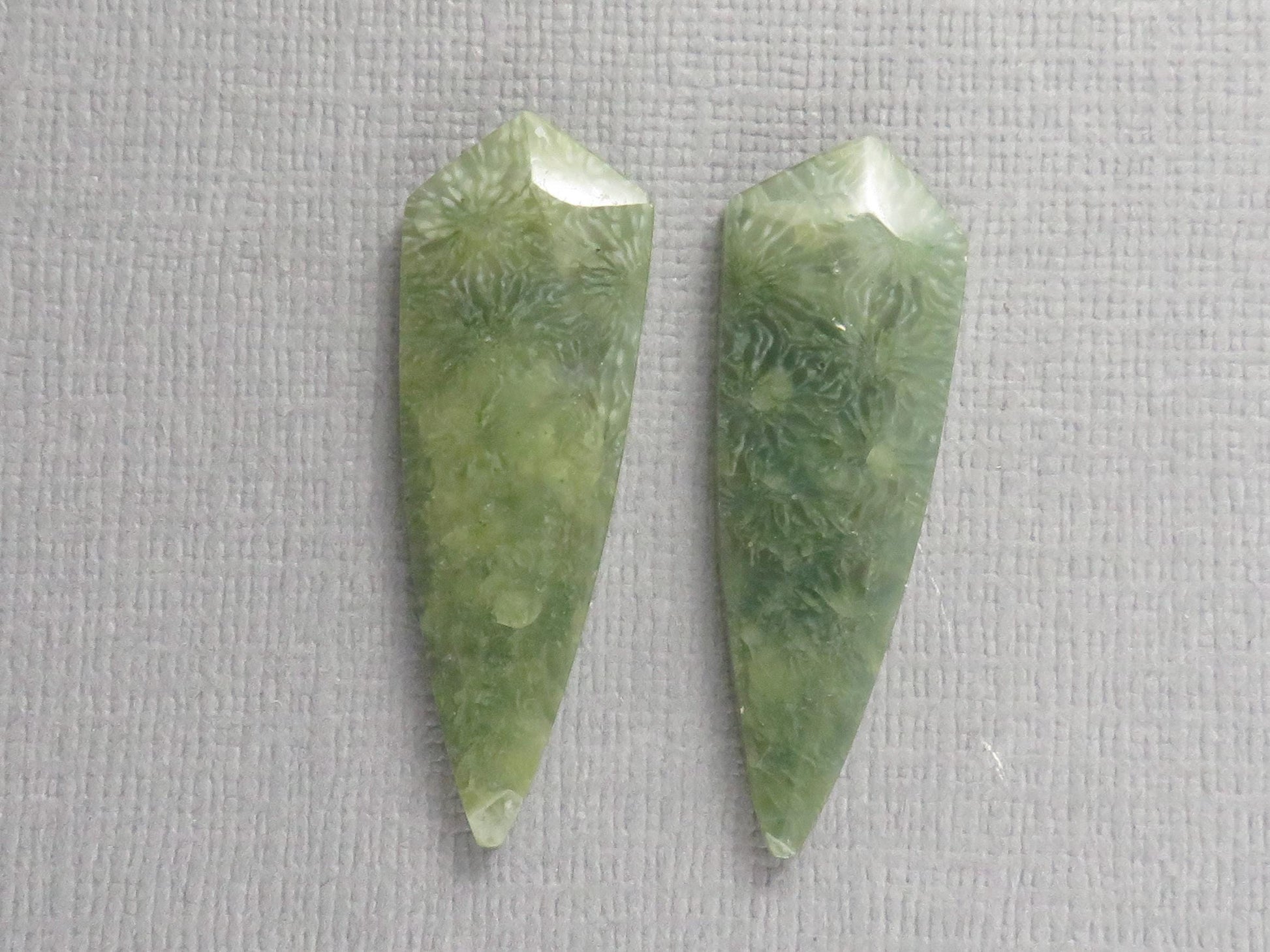 Green Fossil Coral Shield | Pendant Stone | 36x12mm, 22ct | Per Pair | FC119 - - GemEnthusiast