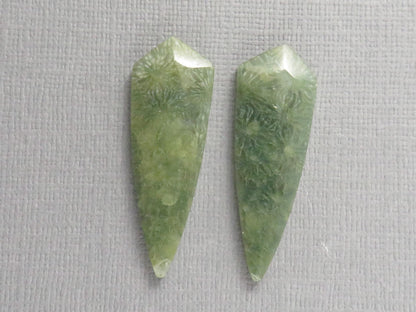 Green Fossil Coral Shield | Pendant Stone | 36x12mm, 22ct | Per Pair | FC119 - - GemEnthusiast