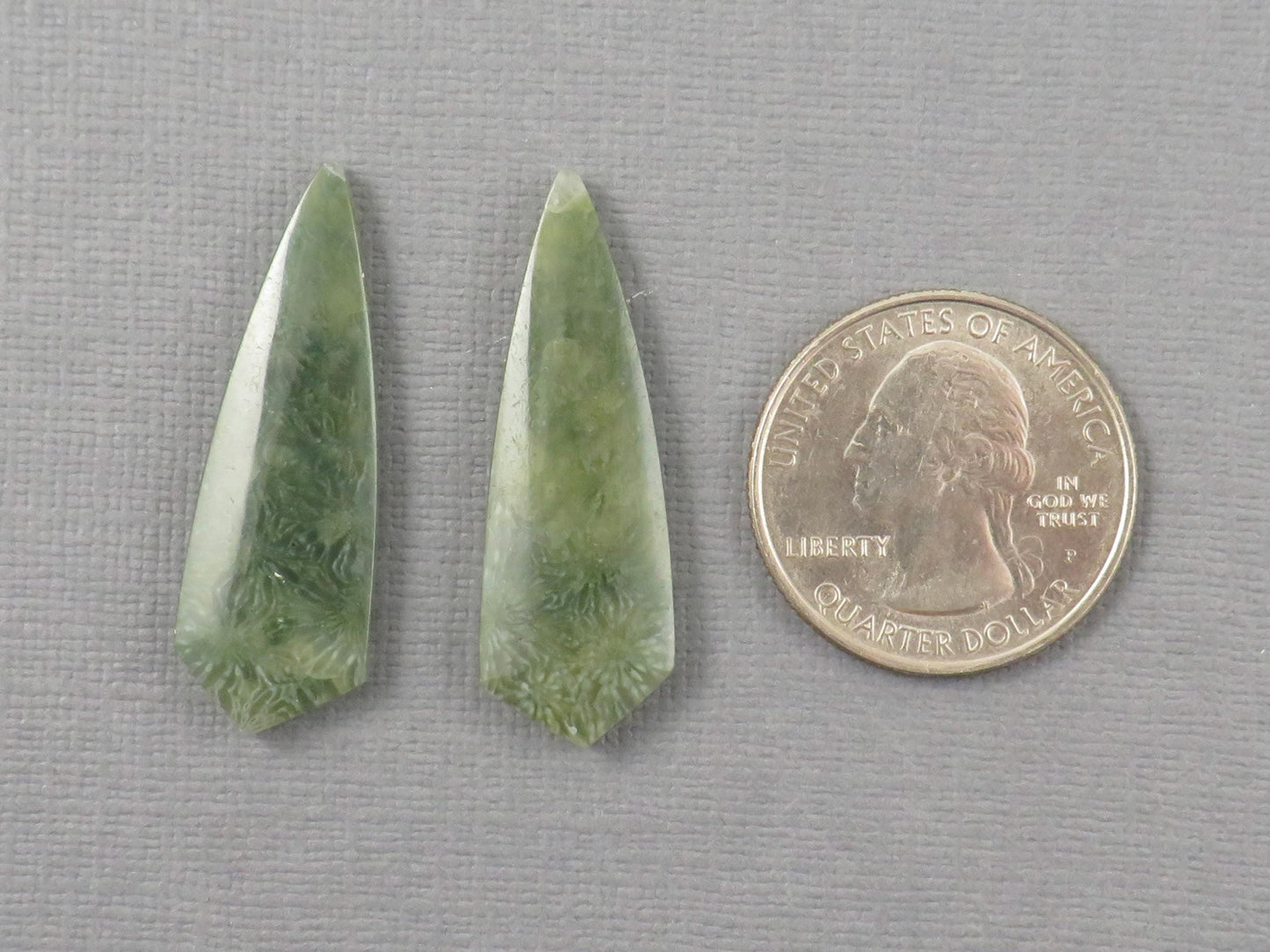 Green Fossil Coral Shield | Pendant Stone | 36x12mm, 22ct | Per Pair | FC119 - - GemEnthusiast