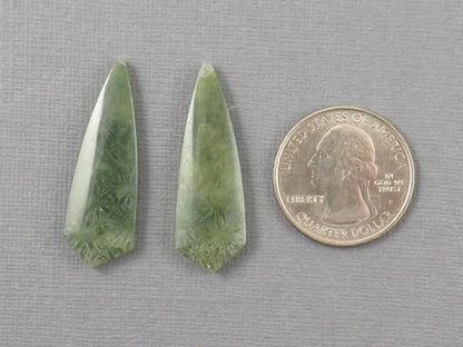 Green Fossil Coral Shield | Pendant Stone | 36x12mm, 22ct | Per Pair | FC119 - - GemEnthusiast