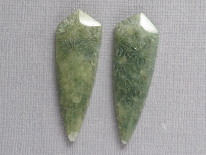 Green Fossil Coral Shield | Pendant Stone | 36x12mm, 22ct | Per Pair | FC119 - - GemEnthusiast