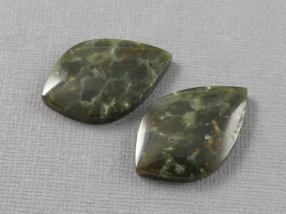 Dark Green Green Fossilized Coral Teardrop Pair | Earring Cabochons | 27x17mm, 14ct | Indonesia | FC117 - - GemEnthusiast