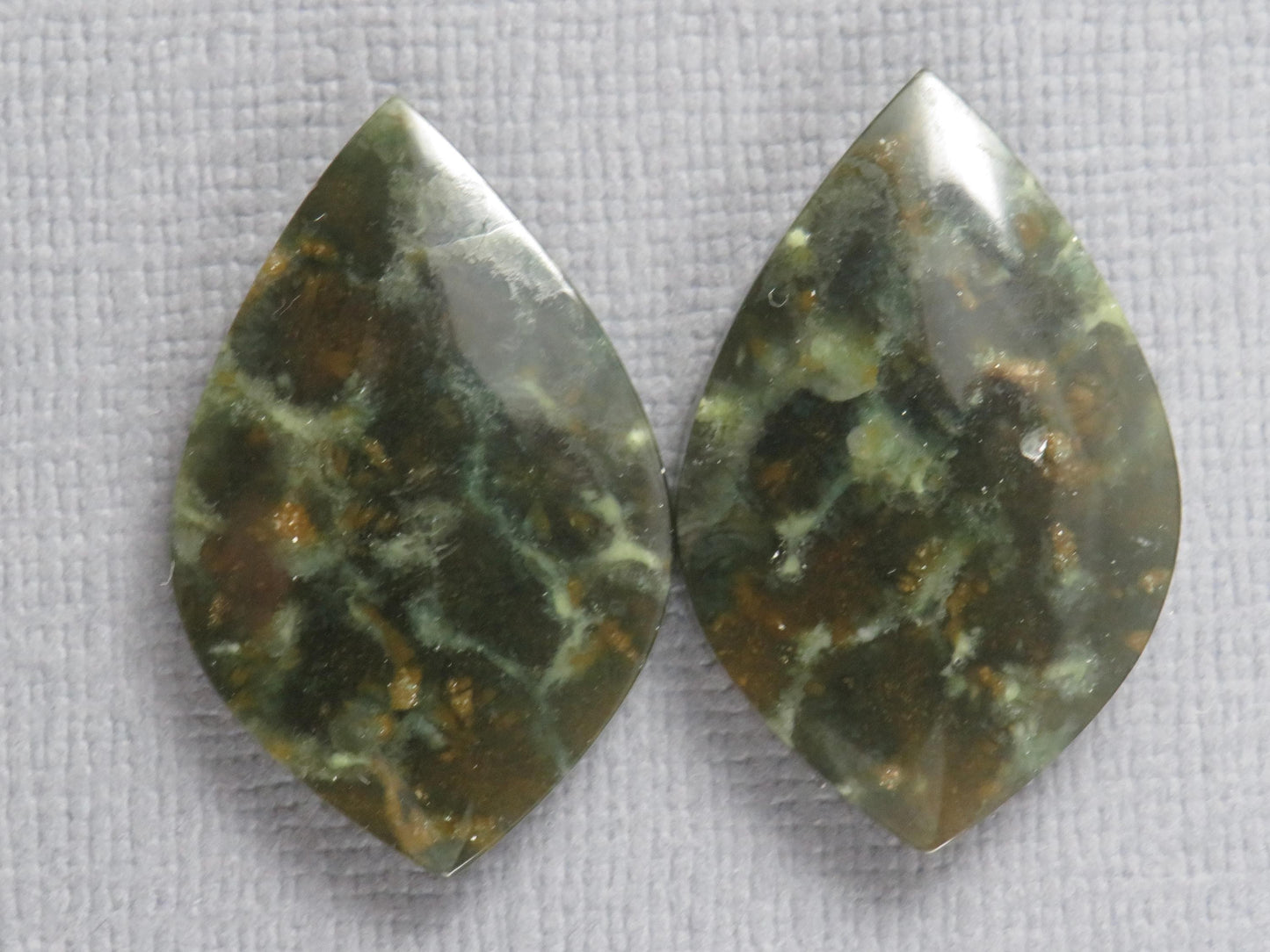 Dark Green Green Fossilized Coral Teardrop Pair | Earring Cabochons | 27x17mm, 14ct | Indonesia | FC117 - - GemEnthusiast