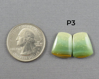 Green Petrified Wood Opal | Cabochons for Setting | 14–16mm, avg 7.4ct | Per Pair | Indonesia | WO261 - - GemEnthusiast