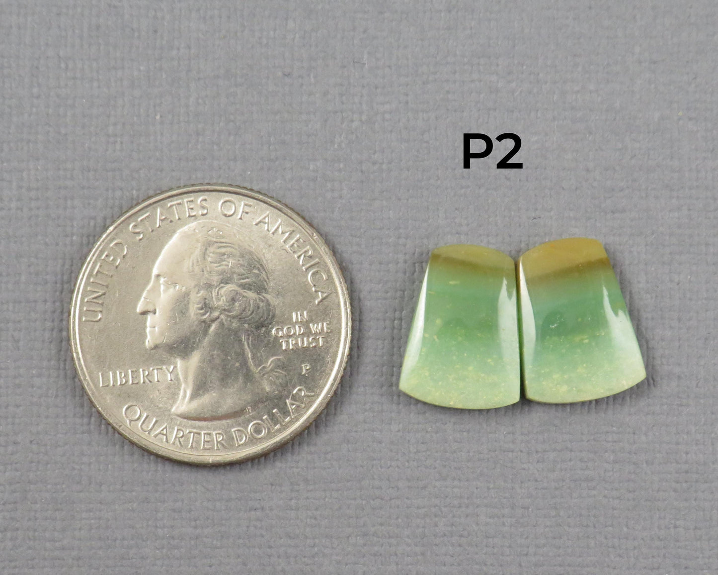 Green Petrified Wood Opal | Cabochons for Setting | 14–16mm, avg 7.4ct | Per Pair | Indonesia | WO261 - - GemEnthusiast