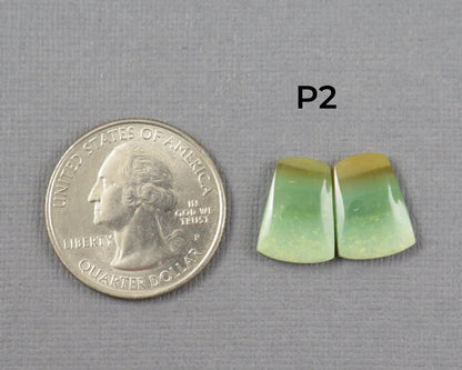 Green Petrified Wood Opal | Cabochons for Setting | 14–16mm, avg 7.4ct | Per Pair | Indonesia | WO261 - - GemEnthusiast